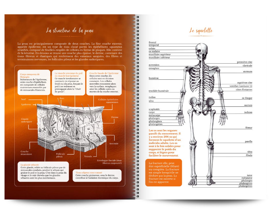 copie de dark blue colorful blocks education bio link website (14)